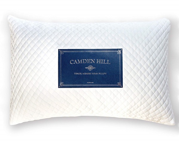 Memory Foam Tencel Pillow by Camden Hill